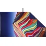 Rainbow mountain
