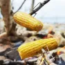 Light My Fire Brannbelysning Bio Kit