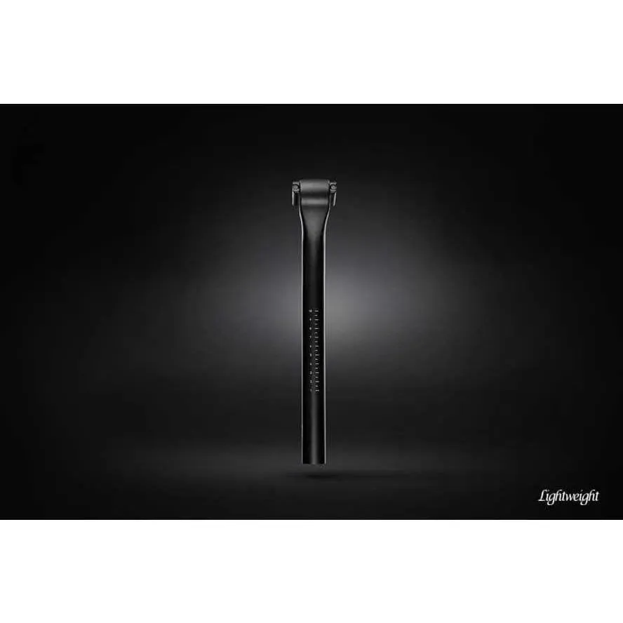 Lightweight LEISTUNGSTRÄGER Seat post