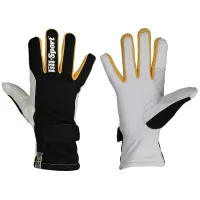 Lillsport Coach Sweden