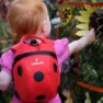 Littlelife Ladybird 2l Ryggsekk, Red