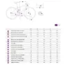 Liv Envi Advanced 1 105 Di2 Rd-r7150 2025 Landeveissykkel
