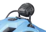 Lupine Wilma R 7 Hodelykt