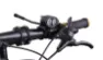 M Tiger Sports MT-DS Frontlys