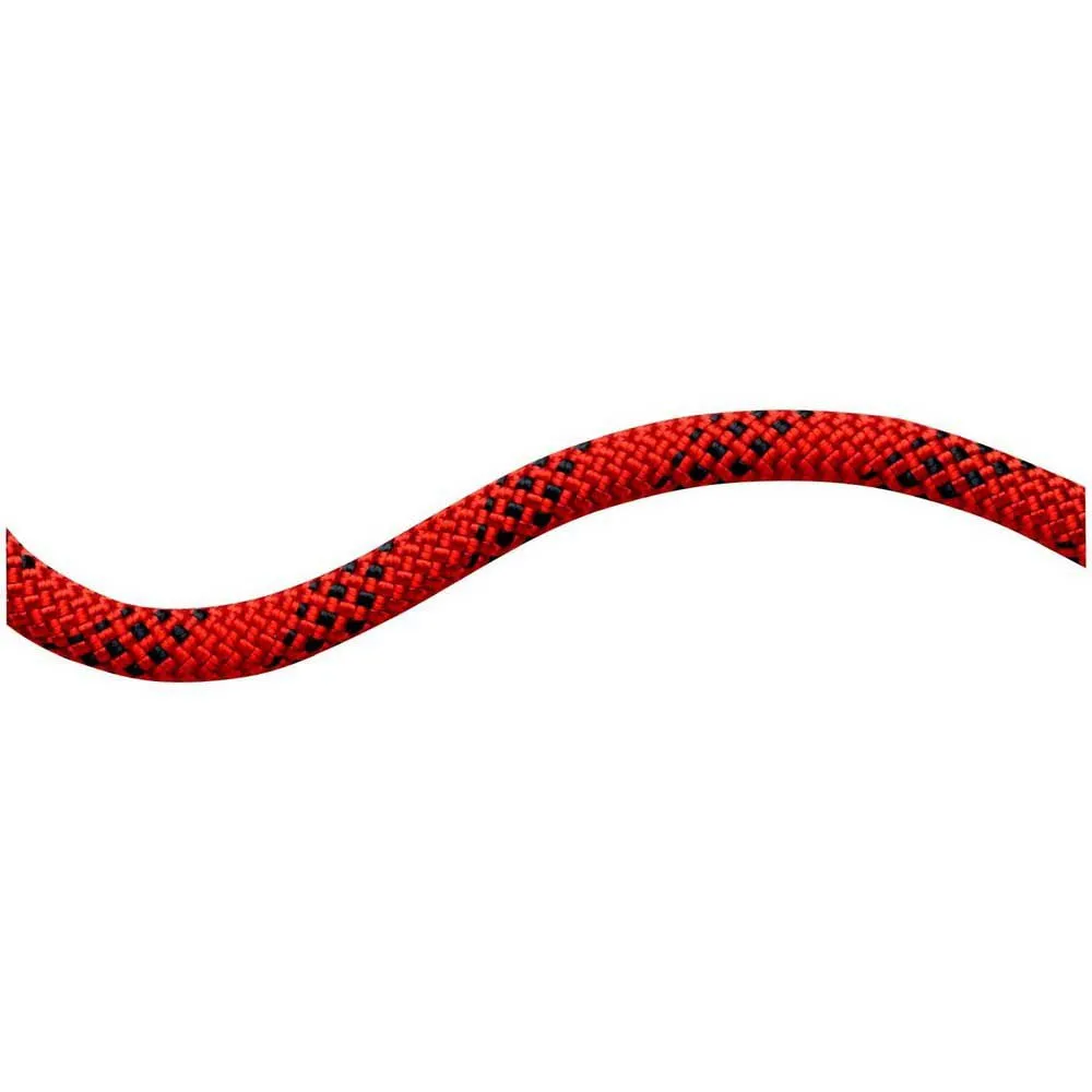 Mammut 10.5 Performance Static Tau Refurbished, Red / black, 400m
