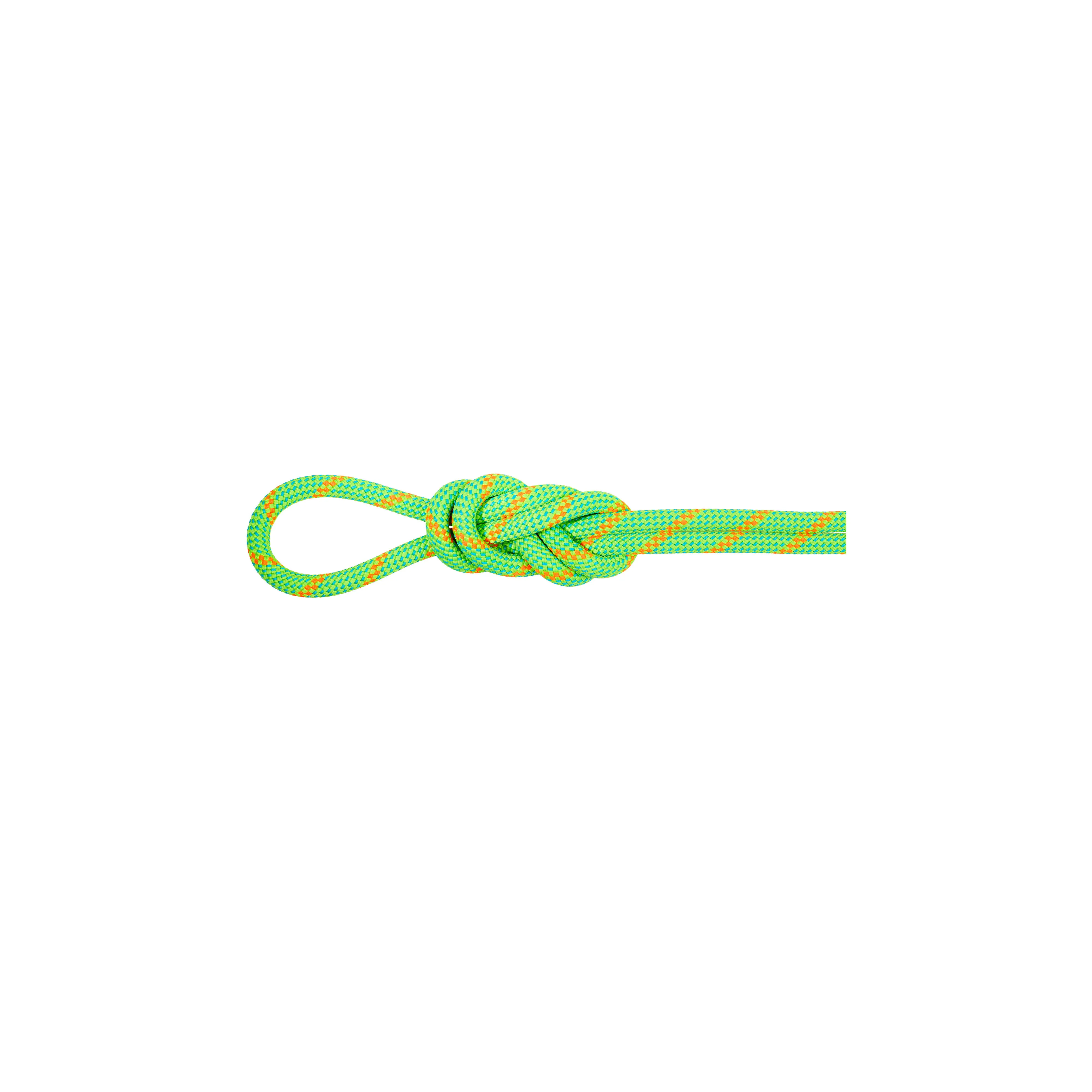 Mammut 8,0 Alpine ECO Dry 60m