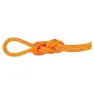 Vibrant orange / ocean