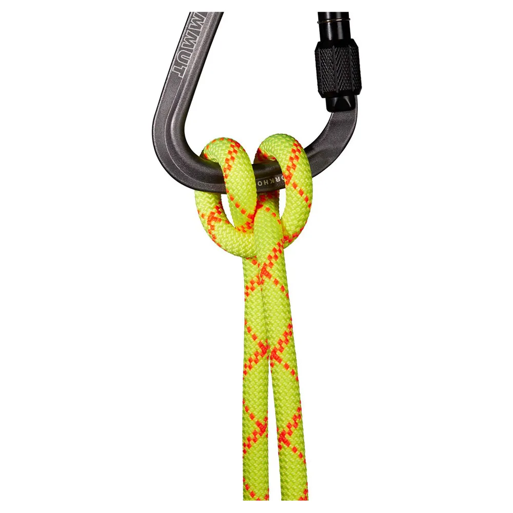 Mammut 9,5 Alpine Core Protect Dry Rope 60m