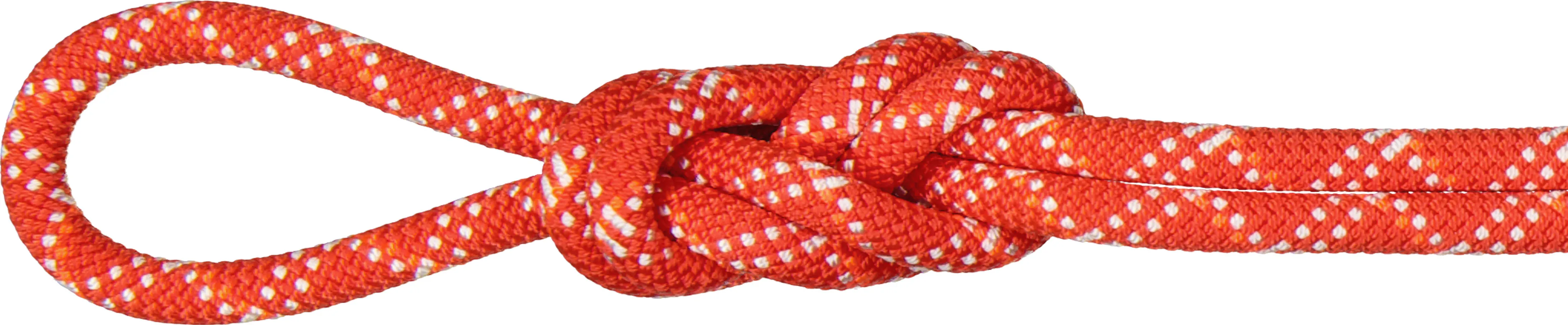 Mammut 9.5 Gym Classic Rope
