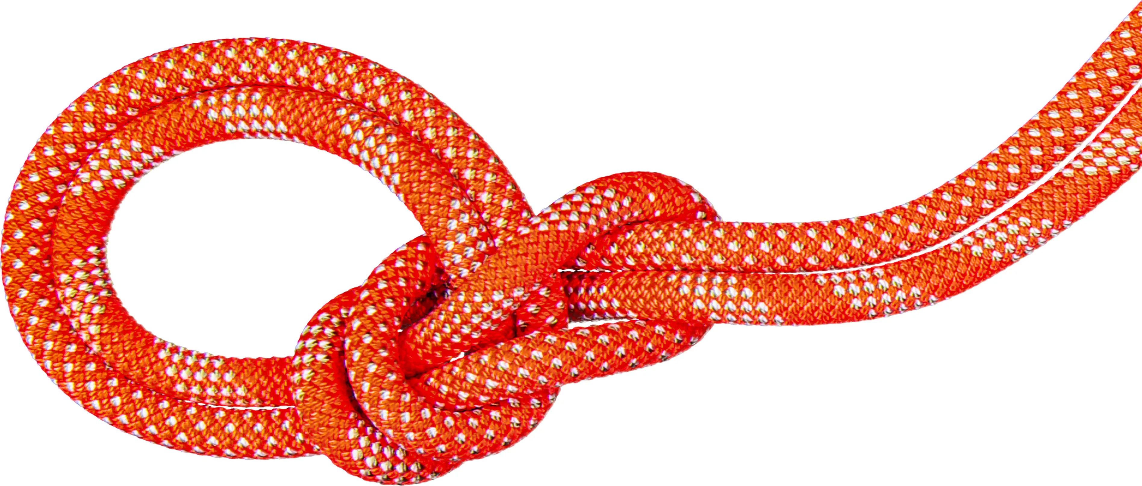Mammut 9.8 Crag Classic Rope Duodess