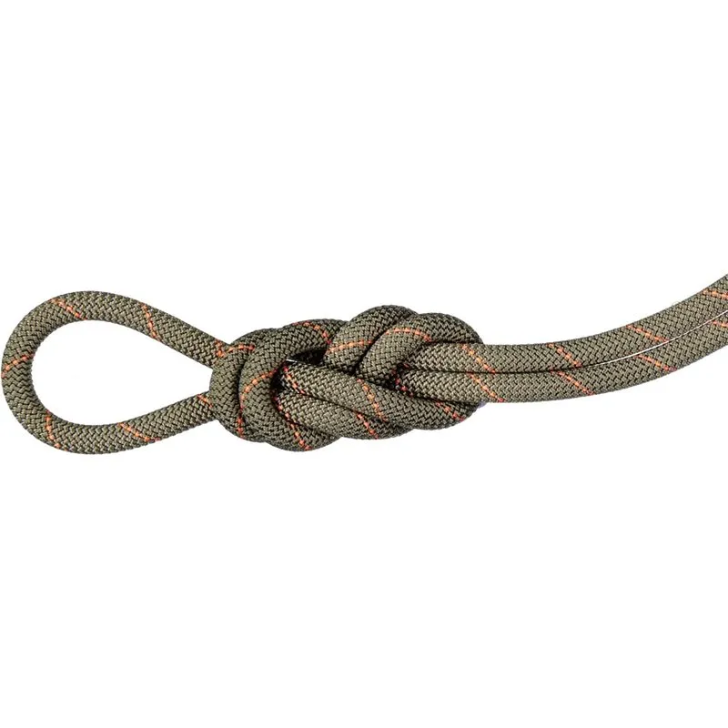 Mammut 9.9 Gym Workhorse Classic Rope 50m, Boa, 50m