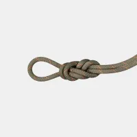 Mammut 9.9 Gym Workhorse Rope Mammut 9.9 Gym Workhorse Rope
