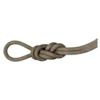 Mammut 9.9 Gym Workhorse Rope