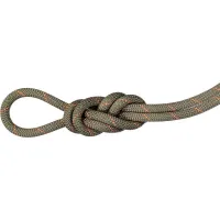 Mammut 9.9 Gym Workhorse Rope