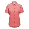 Terracotta / salmon