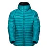 Deep teal / black