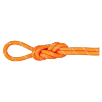 Mammut Alpine 9.5 Mm Tau Mammut Alpine 9.5 Mm Tau