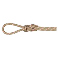 Mammut Alpine Classic 8 Mm Tau Mammut Alpine Classic 8 Mm Tau
