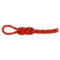 Mammut Alpine Core Protect Dry 8 Mm Tau