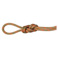 Mammut Alpine Dry 8 Mm Tau Mammut Alpine Dry 8 Mm Tau