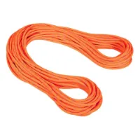 Mammut Alpine Dry 9.5 Mm Tau