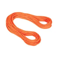 Mammut Alpine Dry 9.5 Mm Tau