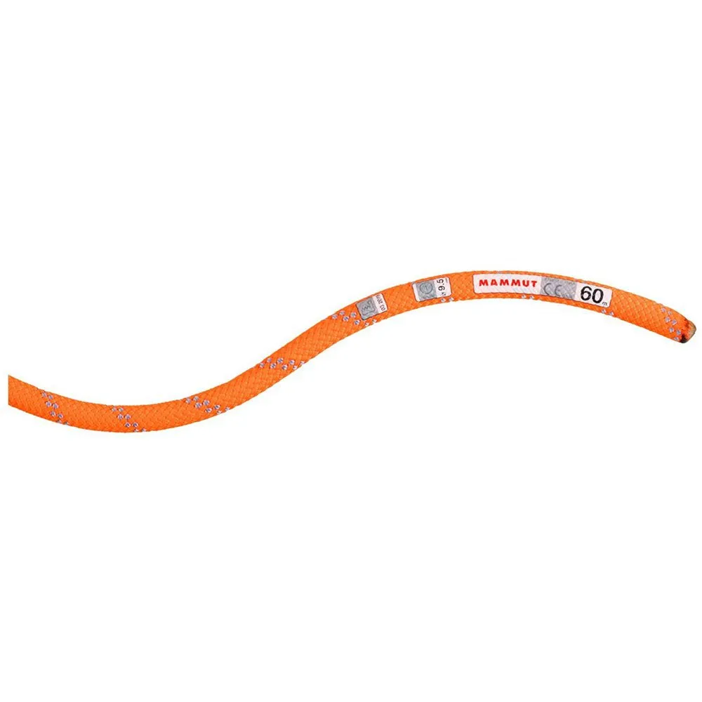 Mammut Alpine Dry 9.5 Mm Tau
