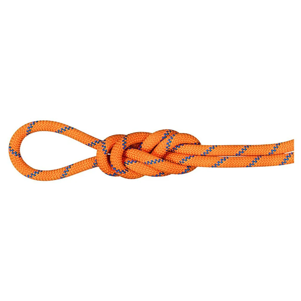 Mammut Alpine Sender 9 Mm Tau