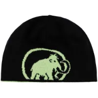 Mammut Logo Lue