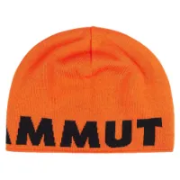 Mammut Logo Lue