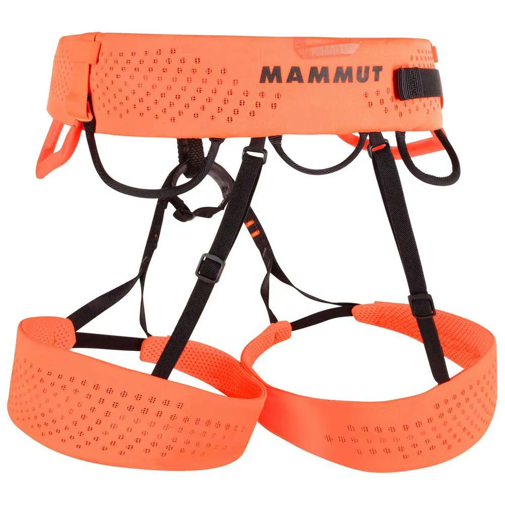 Mammut Sender Sele
