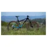 Marin Bobcat Trail 5 29´´ 2025 Terrengsykkel