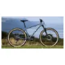 Marin Pine Mountain 1 29´´ 2024 Terrengsykkel, Grey, S