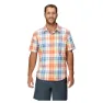 Pomelo wayland plaid
