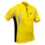 Yellow / silver