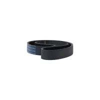 Master Fitness Drive Belt T30 Master Fitness Drive Belt T30