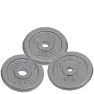Master Fitness Vektskive 25 mm 0,5–10 kg