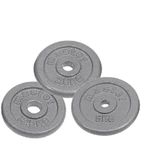 Master Fitness Vektskive 25 mm