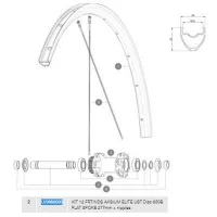 Mavic Aksium Elite Ust Disc 650b Venstre Eiker 12 Enheter Mavic Aksium Elite Ust Disc 650b Venstre Eiker 12 Enheter