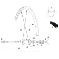 Mavic Aksium Elite Ust/ksyrium Ust Bakre Høyre Eiker 10 Enheter
