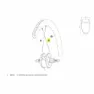 Mavic Cosmic Pro Carbon Ust Ubm Rear Right Eike 16 Enheter, Black, 228mm