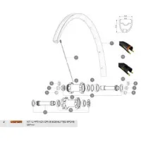 Mavic Ksyrium Elite Allroad/allroad Elite Disc 2017 Bakre Høyre Eiker 12 Enheter Mavic Ksyrium Elite Allroad/allroad Elite Disc 2017 Bakre Høyre Eiker 12 Enheter