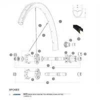 Mavic Xa Pro Carbon 27.5 2017-18 Bakre Høyre Eiker 12 Enheter Mavic Xa Pro Carbon 27.5 2017-18 Bakre Høyre Eiker 12 Enheter