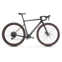 Megamo Silk 10 Apex 2024 Grussykkel