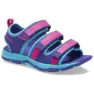 Purple / multi