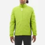 Macaw green