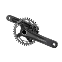 Mixbike Kranksett 11-Speed 40T 175mm inkl. BB73