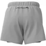 Mizuno Core 5.5 Inch 2-i-1 Shorts male