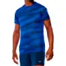 Mizuno Dryaeroflow Graphic Kortarmet T-skjorte male