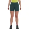 Montane Ineo Lite Leggings